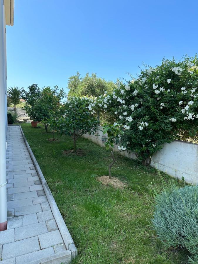 Holiday Home Mb Ražanj エクステリア 写真